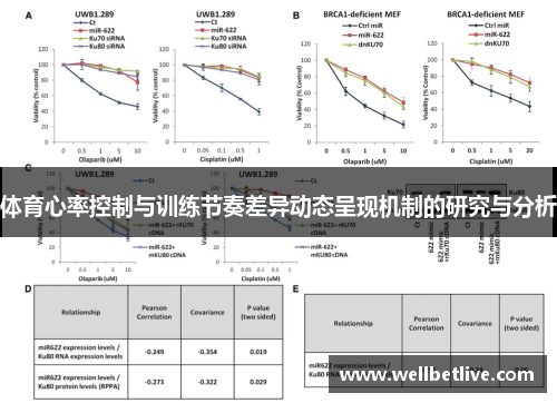 体育心率控制与训练节奏差异动态呈现机制的研究与分析