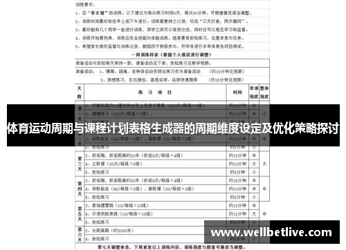 体育运动周期与课程计划表格生成器的周期维度设定及优化策略探讨
