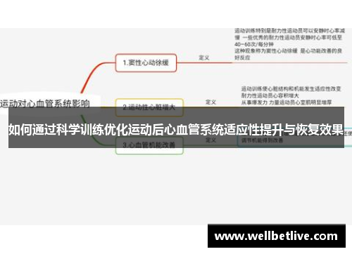 如何通过科学训练优化运动后心血管系统适应性提升与恢复效果
