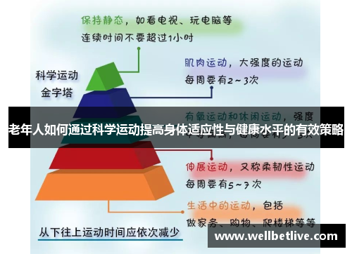 老年人如何通过科学运动提高身体适应性与健康水平的有效策略