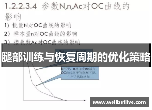 腿部训练与恢复周期的优化策略